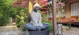 Herfst Retraite met Qi Gong en Meditatie