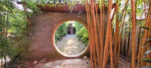 stilte retraite qi gong