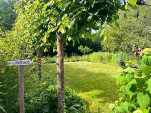 Qi Gong tilburg