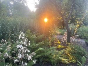 qi gong retraite