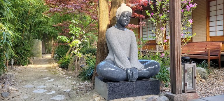 Hart Retraite met Qi Gong en Meditatie