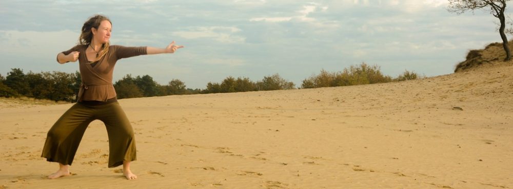 Tai Chi Qi Gong Tilburg