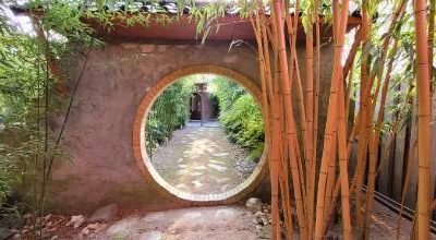 stilte retraite qi gong